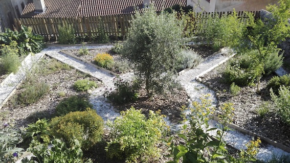 Miasino, il risveglio primaverile della natura al "Giardino dei Semplici"