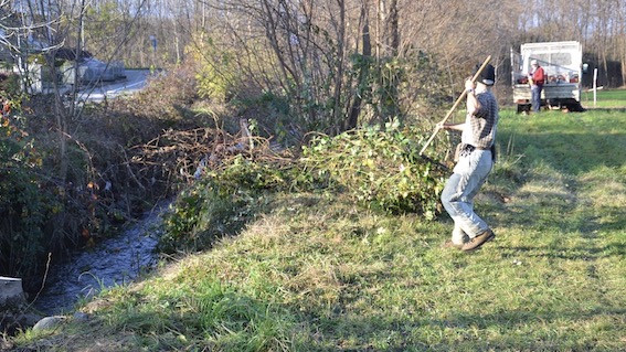 Borgomanero, in corso manutenzione idraulica dell'Agogna e di alcuni rii