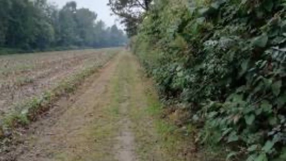 Borgomanero, sistemato il "Santee Lungu"