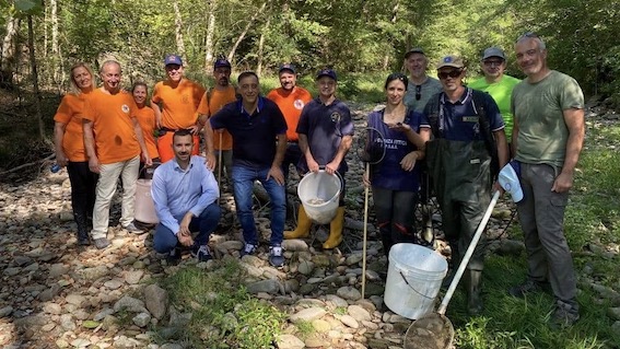 Recupero ittico nel torrente Sizzone a Cureggio: reimmessi 200kg di fauna fluviale nell'Agogna