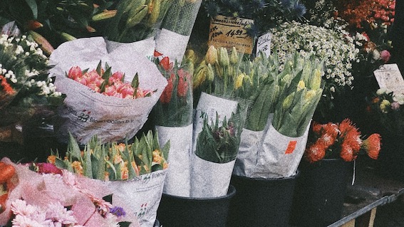 Bellinzago, il 25 aprile torna la "Mostra mercato di primavera"