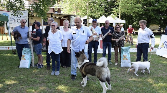 Borgomanero, svolta l'esposizione canina regionale