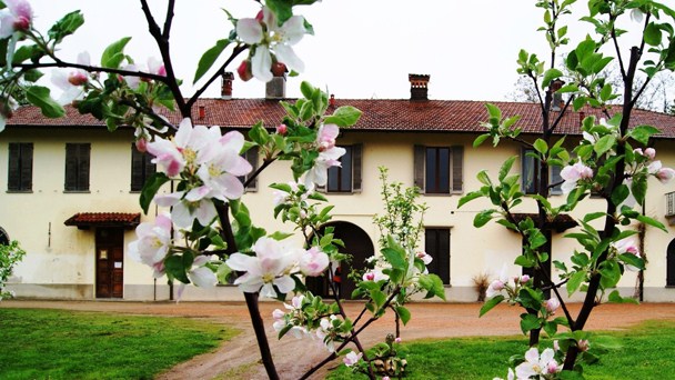 Garden Club Borgomanero: proposte per il verde cittadino