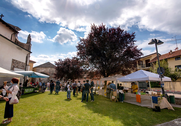 A Cureggio Mercato dei produttori locali per la biodiversità dell’Alto Piemonte