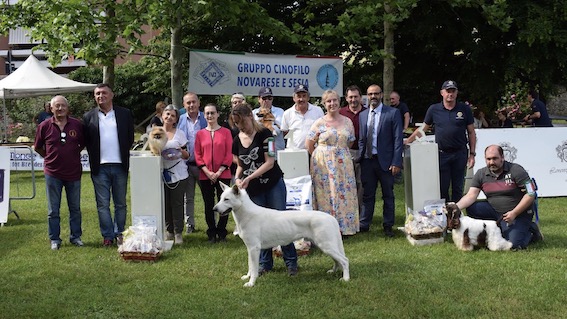 Borgomanero, il 2 giugno a Villa Marazza l'“Esposizione Regionale Canina” 