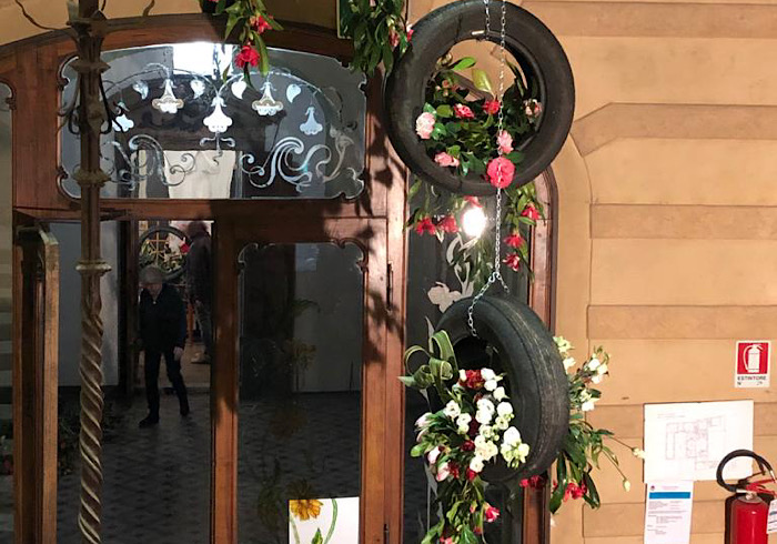 Camelie in mostra a Gozzano: appassionati invitati a partecipare con le loro composizioni