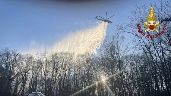 Domato l'incendio a San Maurizio d'Opaglio: interessati 6 ettari di bosco