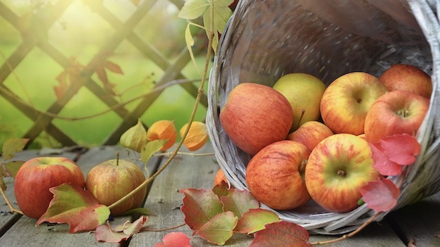 Soriso, la Sagra delle Mele rinviata al 16 ottobre