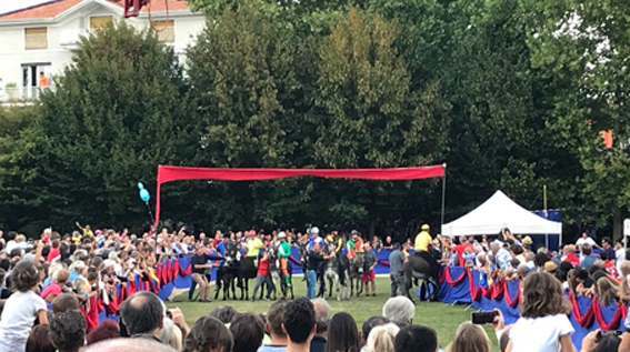 Festa dell'Uva, è il giorno del Palio degli Asini