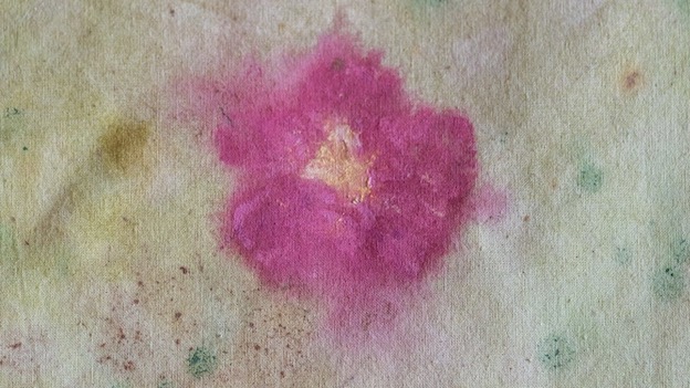 "Oltre il giardino", Villa Nigra: il 1° luglio presentazione catalogo della mostra