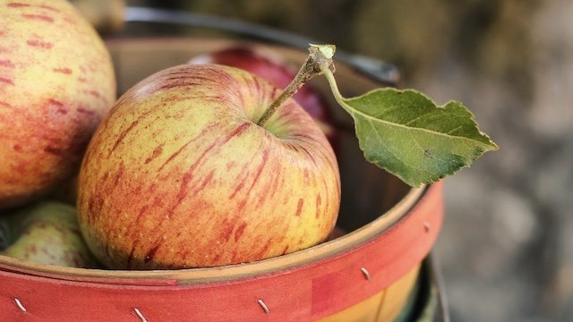 Bolzano Novarese, il 15 ottobre torna la Sagra della Mela Benefica