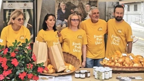 Grande festa per la Cipolla Bionda di Cureggio e Fontaneto - foto