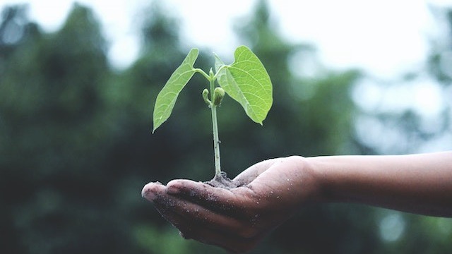 Borgomanero capofila del progetto "Agro Job" in Benin