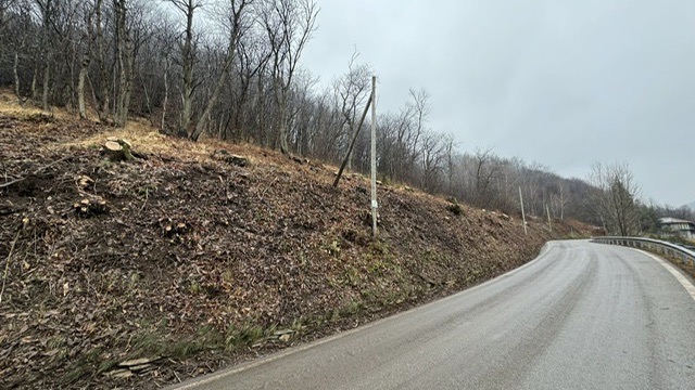 Armeno, appaltato taglio piante per messa in sicurezza via delle Due Riviere