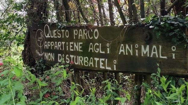 Tramonto al Parco Faunistico "La Torbiera" con il Fai Novara