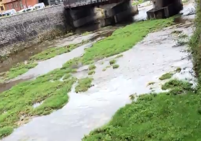 Divieto temporaneo pesca dilettantistica sull’Agogna tra Gozzano e Borgomanero
