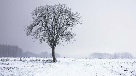 Prima neve di stagione nel Novarese