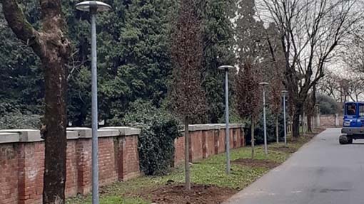 Nuove piantumazioni in città