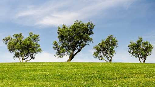 Regione: presentata la relazione sullo stato dell'ambiente