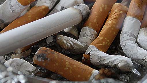 Anche Novara partecipa alla raccolta ecologica nazionale "1 Cicca 1 Litro!"