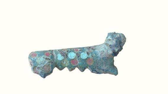 Biandrate, nuovo importante ritrovamento archeologico: spilla in bronzo con fattezze di pantera