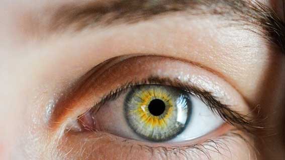 Giornata Mondiale della Vista: le iniziative Uici a Novara
