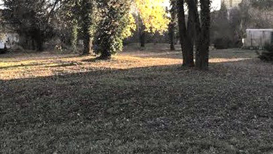 Venerdì l'inaugurazione del giardino Marco Adolfo Boroli a Sant'Andrea
