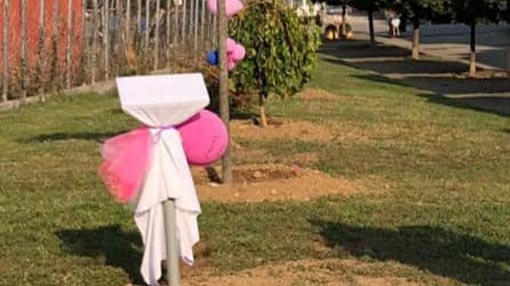 Oleggio, piantumati tre gelsi in ricordo della famiglia Cecala vittima crollo del ponte Morandi