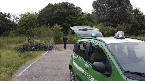 Carpignano Sesia: i Carabinieri Forestali sequestrano rifiuti pericolosi e 200 pneumatici in un'autofficina