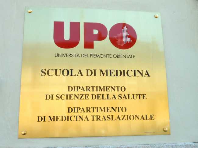 Scuola di Medicina dell'Upo: 6 milioni di euro di finanziamento per il progetto del "ginocchio-on-chip" personalizzato