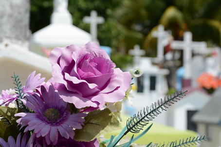 Novara: da lunedì riaprono i cimiteri cittadini con ingresso contingentato