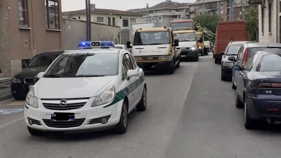 Novara, rimosse carcasse segnalate dai cittadini