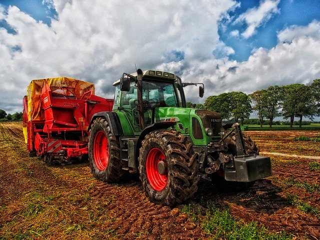 Coldiretti chiede di non bloccare i voucher per i lavori agricoli