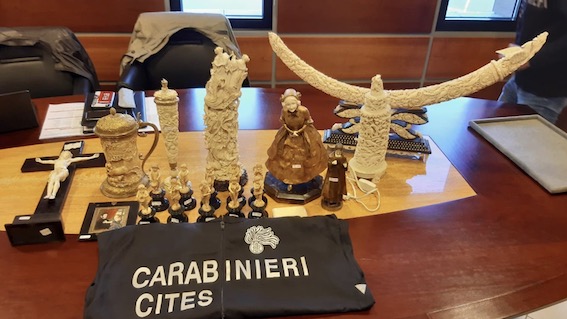 Operazione contro il commercio illecito di prodotti in avorio: sequestrati 70 oggetti a Novara