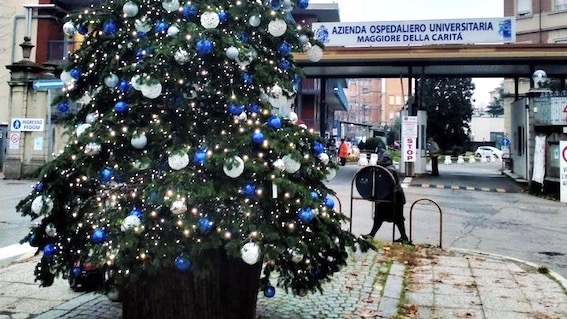 Novara, albero di Natale davanti all'ospedale per ringraziare il personale per l'attività di questi mesi