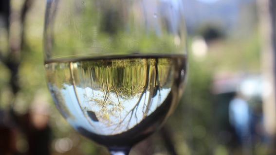  Coldiretti a fianco dei produttori di Colline Novaresi Bianco e Coste della Sesia Bianco