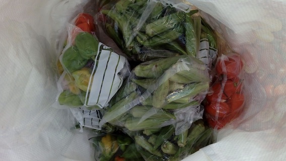 Vendeva alimenti nel suo veicolo: sanzione e sequestro