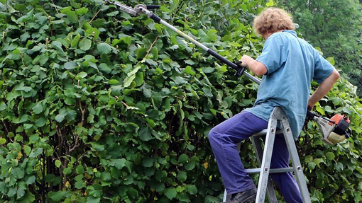 Bellinzago, cantieri di lavoro per disoccupati over 58