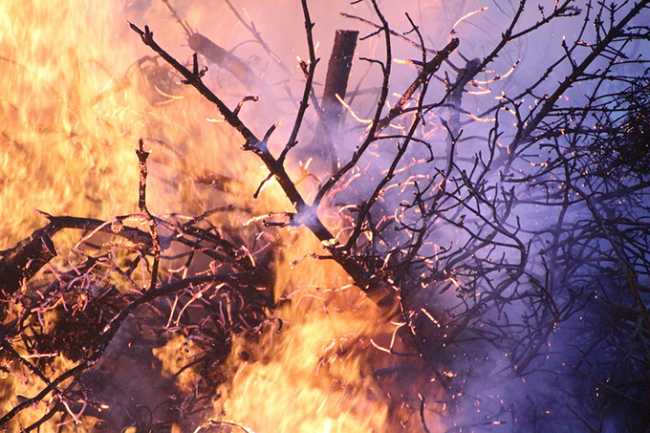 Piemonte: massima pericolosità per gli incendi boschivi