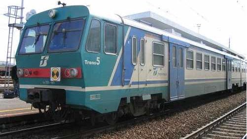 Rami sulla sede ferroviaria: rallentamenti sulla Novara-Milano-Treviglio