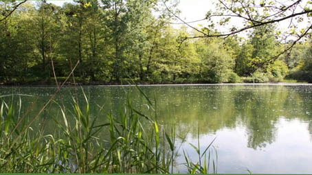 Aree protette del Ticino e del Lago Maggiore: firmato il decreto per la composizione del consiglio di gestione