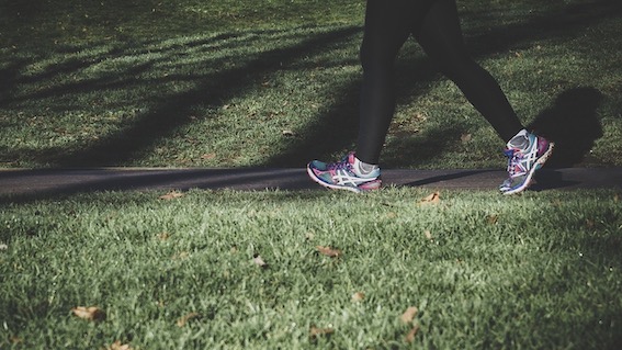 Trecate, attività sportiva all'aperto: disponibili il parco Cigogna ed il Bioparco
