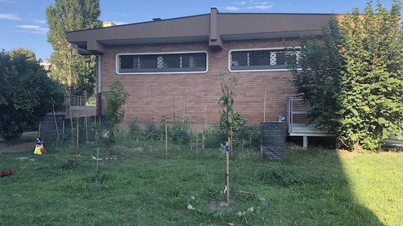 E' tornato in attività il centro polifunzionale di piazza Donatello