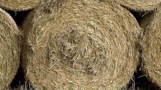 Dagli agricoltori di Coldiretti fieno e mangime per gli animali di un circo bloccato nel Novarese