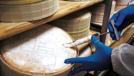 Coronavirus: in forte calo la produzione di Gorgonzola Dop