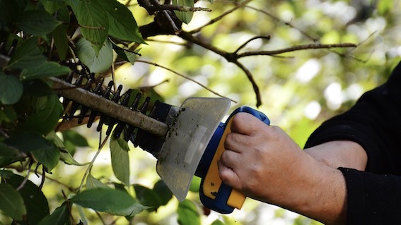 Novara, bando per cantieri di lavoro per over 58enni
