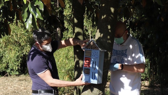 Trecate, collocati tre "bee hotel" al Bioparco Roggia Moretta