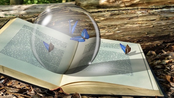 "Storie in Nidovisione": inziativa delle educatrici dei nidi di Novara