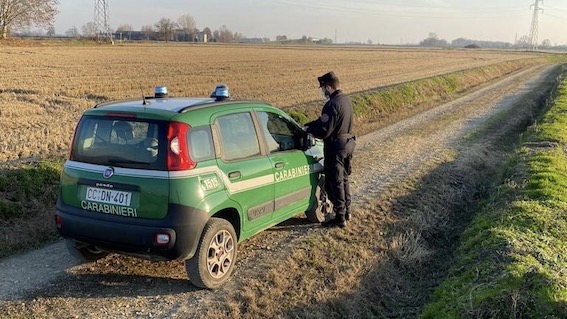 Novara, motocross illegale fra le risaie: sequestrate 3 moto ed elevate sanzioni