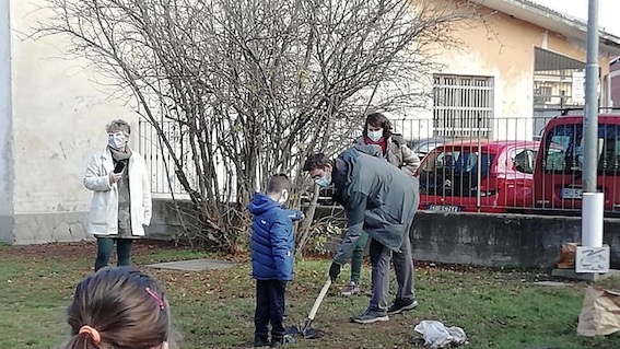 Bellinzago, la "Festa dell'albero"